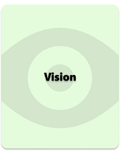 Vision